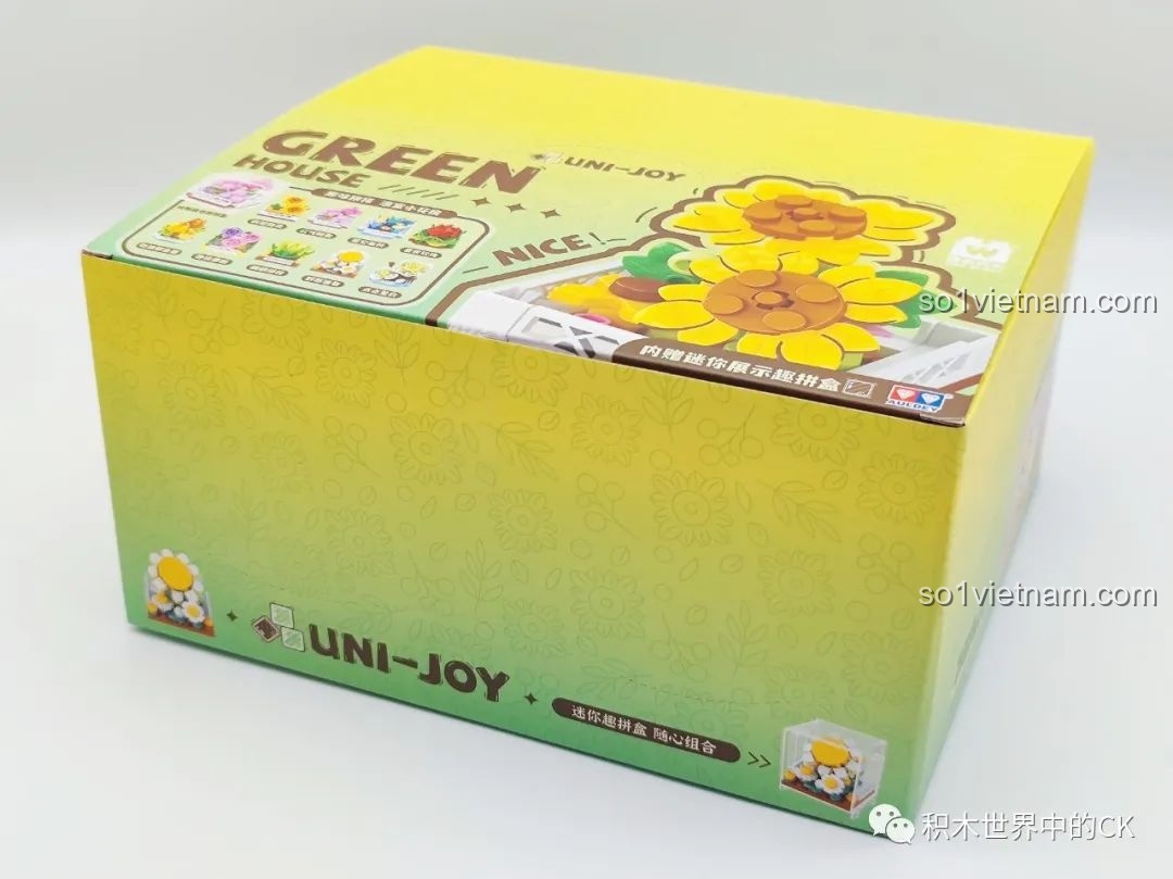 Review Bộ Sưu Tập 9 Chậu Hoa Nhà Kính AULDEY HA383020 Xinh Mê!