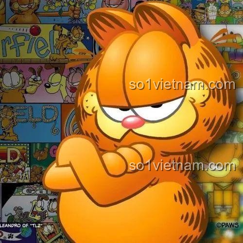 Review Balody 20141: Xe Garfield Cực Chất Cho Bé Trai!
