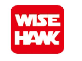 Wise Hawk
